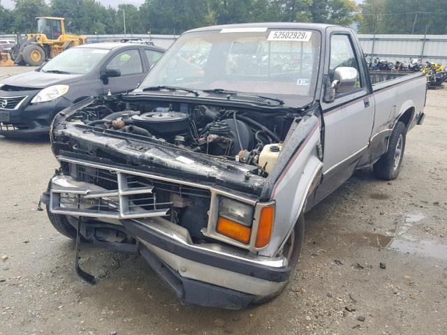 1B7GN14M4HS403840 - 1987 DODGE DAKOTA GRAY photo 2