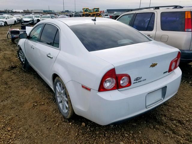 1G1ZE5EU4BF165656 - 2011 CHEVROLET MALIBU LTZ თეთრი ფოტო 3