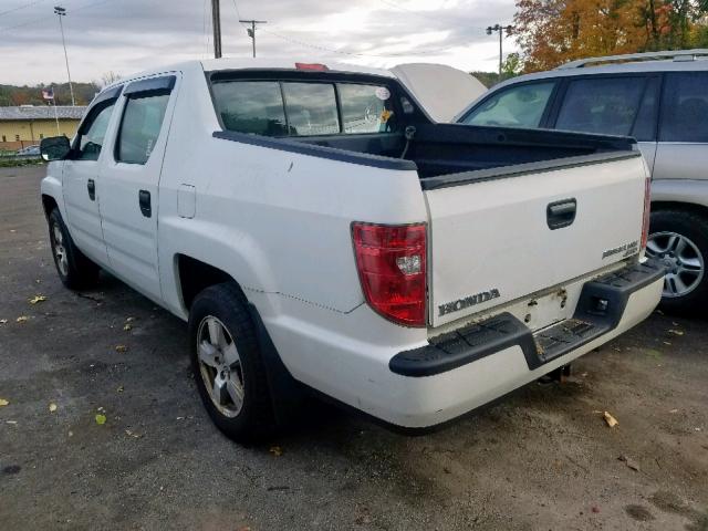 5FPYK1F21BB005005 - 2011 HONDA RIDGELINE WHITE photo 3