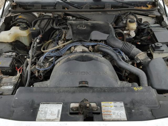 2FALP74WXTX122859 - 1996 FORD CROWN VICT WHITE photo 7