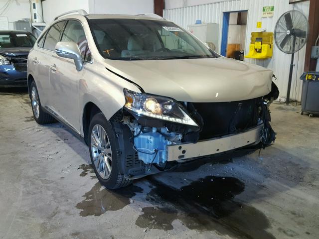 2T2ZK1BA8DC122352 - 2013 LEXUS RX 350 BEIGE photo 1