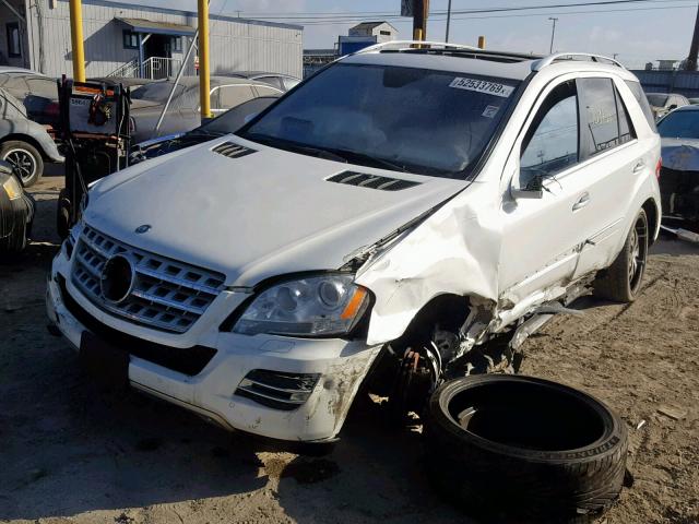 4JGBB8GB0BA686235 - 2011 MERCEDES-BENZ ML 350 4MA WHITE photo 2