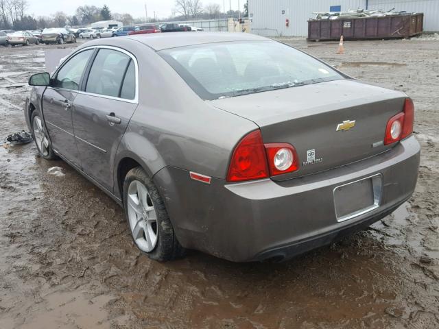 1G1ZA5E05AF317323 - 2010 CHEVROLET MALIBU LS 棕色 照片 3