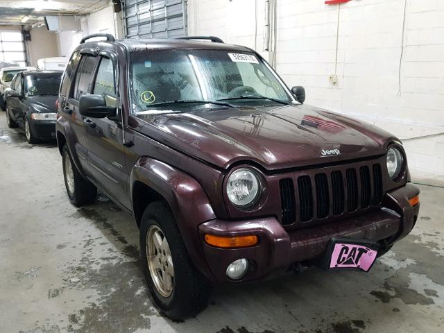 1J4GL58K44W289230 - 2004 JEEP LIBERTY LI PURPLE photo 1