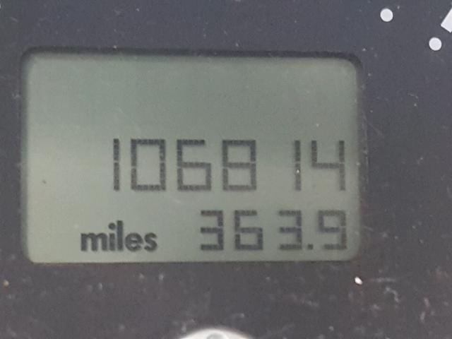 3VWCM31Y64M330720 - 2004 VOLKSWAGEN NEW BEETLE Bej foto 8