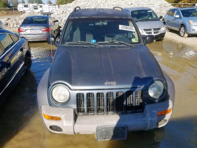 1J4GK48K42W258599 - 2002 JEEP LIBERTY SP BLUE photo 9