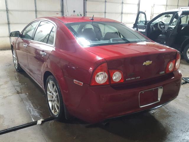 1G1ZE5E05AF154466 - 2010 CHEVROLET MALIBU LTZ მუქწითელი ფოტო 3