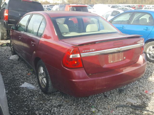 1G1ZT54815F218361 - 2005 CHEVROLET MALIBU LS 勃艮第红 照片 3