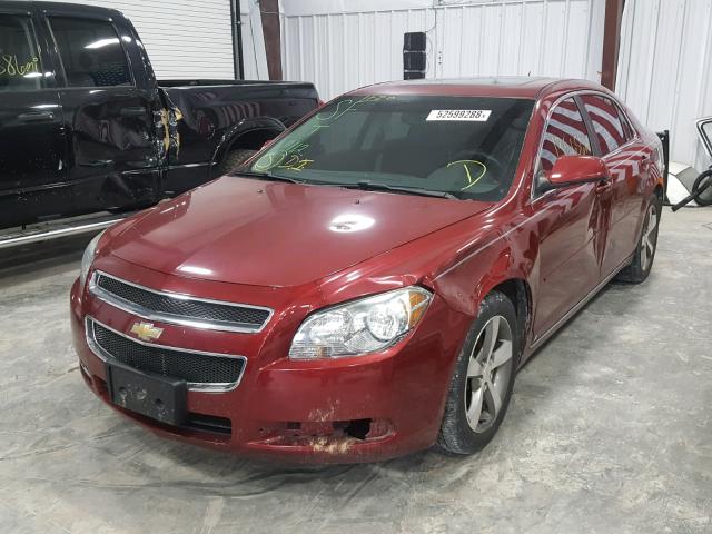 1G1ZJ57B39F168016 - 2009 CHEVROLET MALIBU 2LT BURGUNDY photo 2