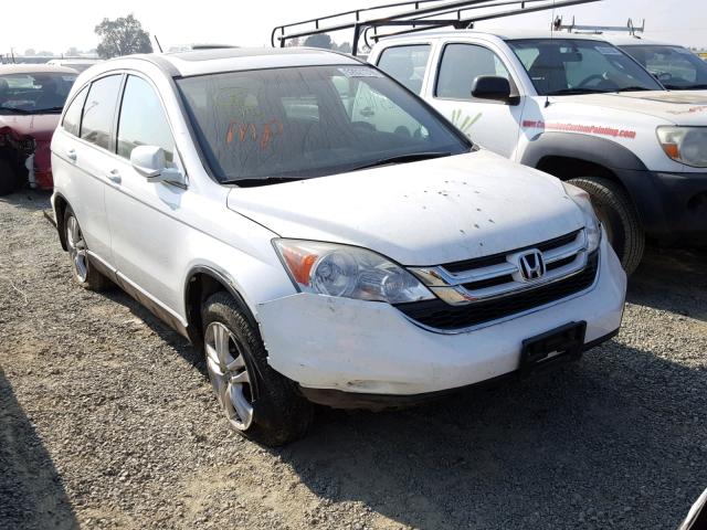 5J6RE4H70AL084932 - 2010 HONDA CR-V EXL WHITE photo 1