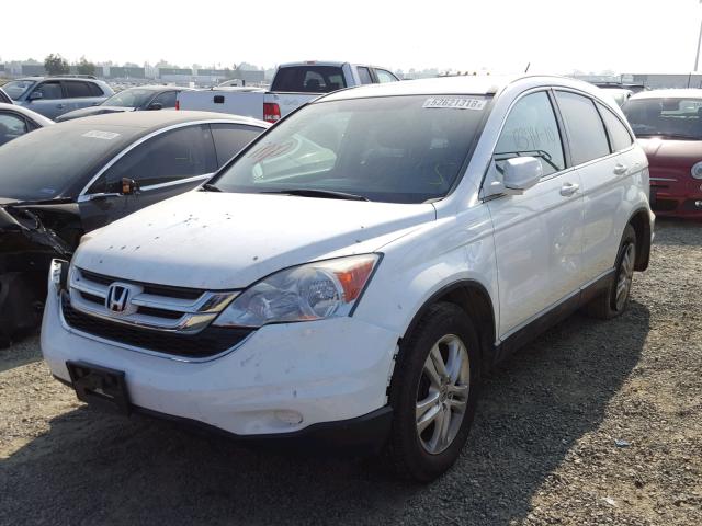 5J6RE4H70AL084932 - 2010 HONDA CR-V EXL WHITE photo 2