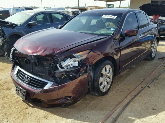 5KBCP3F8XAB017402 - 2010 HONDA ACCORD EXL PURPLE photo 2