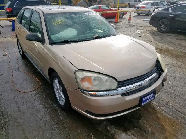 1G1ZT64874F226176 - 2004 CHEVROLET MALIBU MAX 金色 照片 1