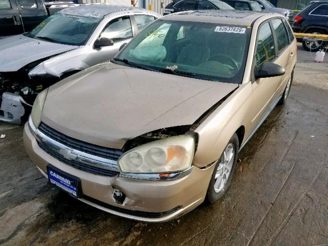 1G1ZT64874F226176 - 2004 CHEVROLET MALIBU MAX 金色 照片 2