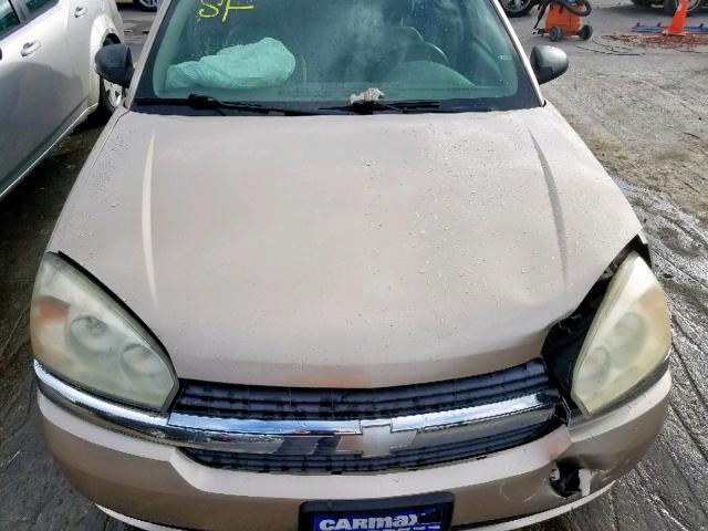 1G1ZT64874F226176 - 2004 CHEVROLET MALIBU MAX 金色 照片 7
