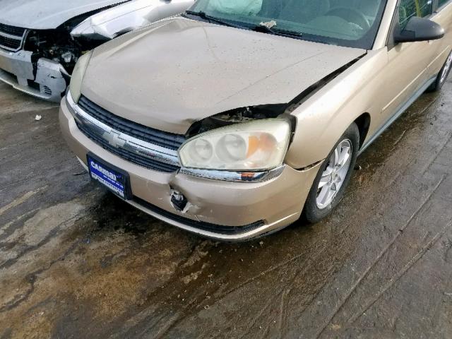 1G1ZT64874F226176 - 2004 CHEVROLET MALIBU MAX 金色 照片 9