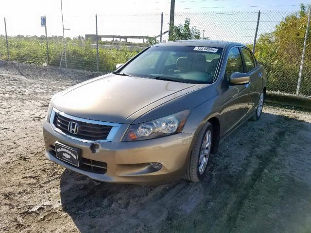 5KBCP3F86AB005814 - 2010 HONDA ACCORD EXL GOLD photo 2