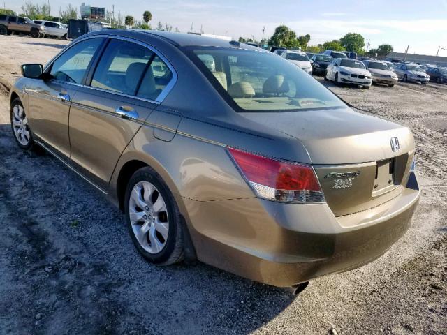 5KBCP3F86AB005814 - 2010 HONDA ACCORD EXL GOLD photo 3