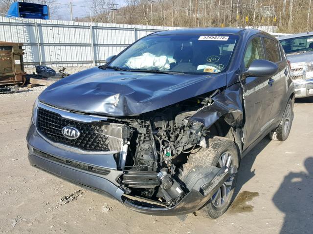 KNDPB3AC2F7724310 - 2015 KIA SPORTAGE L BLUE photo 2