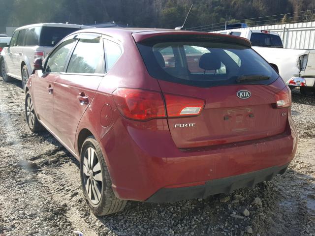 KNAFU5A26D5665065 - 2013 KIA FORTE EX MAROON photo 3