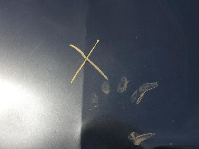 2G2WP542351162493 - 2005 PONTIAC GRAND PRIX BLUE photo 7