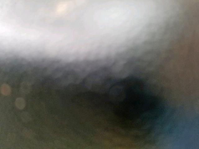 1G11C5SL9FF306838 - 2015 CHEVROLET MALIBU 1LT 米色 照片 8