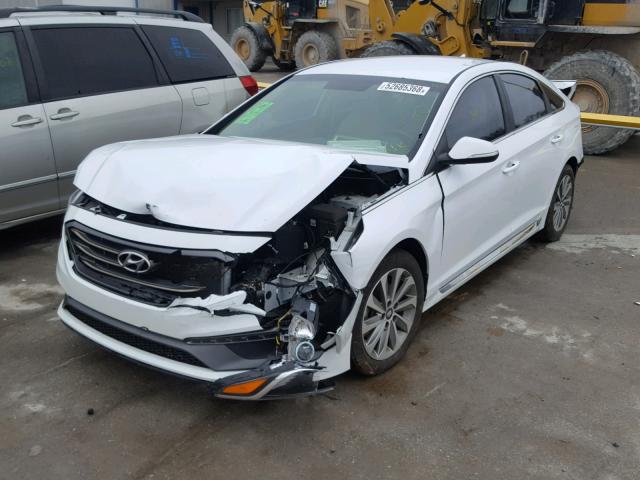 5NPE34AF4HH495079 - 2017 HYUNDAI SONATA SPO WHITE photo 2