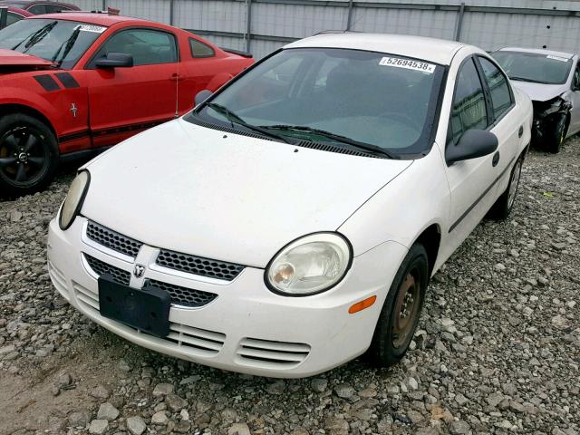 1B3ES26C45D242742 - 2005 DODGE NEON BASE WHITE photo 2