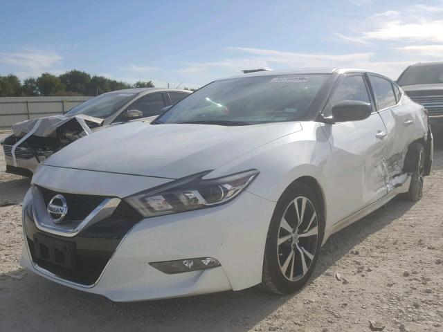 1N4AA6AP2GC429493 - 2016 NISSAN MAXIMA 3.5 WHITE photo 2