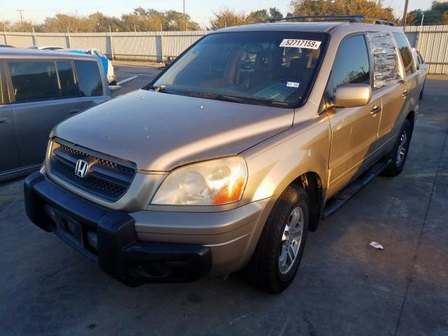 5FNYF18505B048209 - 2005 HONDA PILOT EXL TAN photo 2