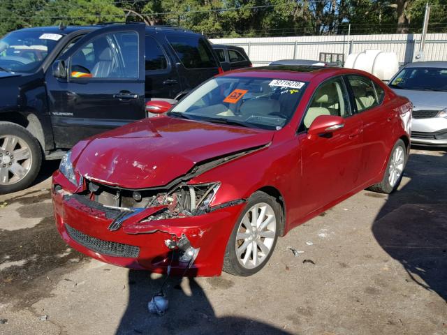 JTHBK262095099456 - 2009 LEXUS IS 250 RED photo 2