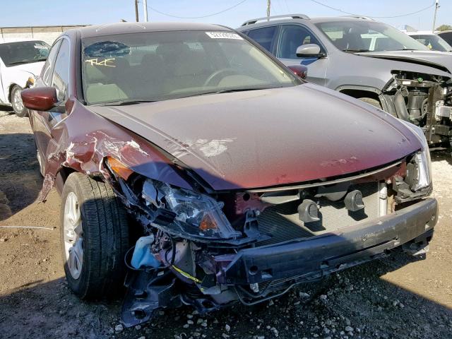 1HGCP264X9A058124 - 2009 HONDA ACCORD LXP RED photo 1