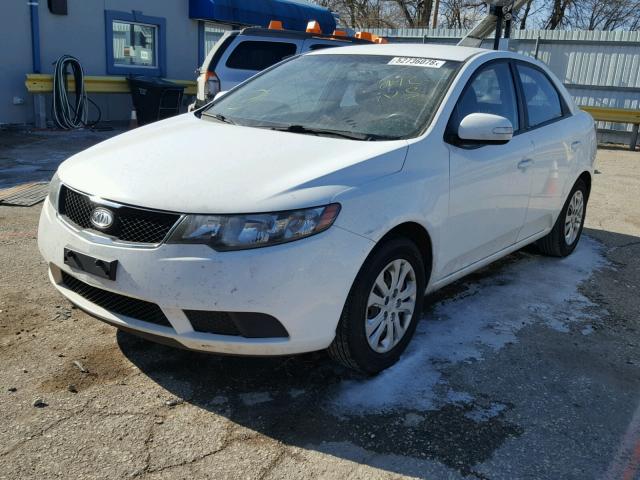 KNAFU4A28A5166662 - 2010 KIA FORTE EX WHITE photo 2