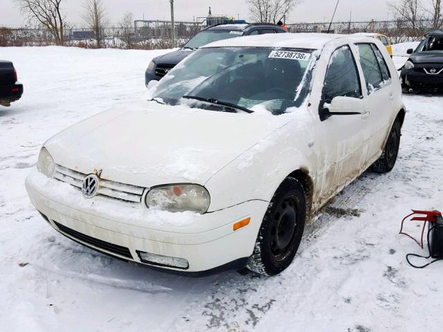 9BWEL41J774011601 - 2007 VOLKSWAGEN CITY GOLF WHITE photo 2