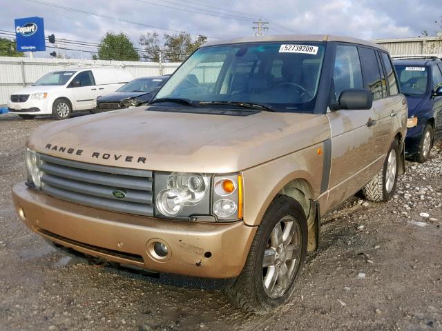 SALME11494A160977 - 2004 LAND ROVER RANGE ROVE GOLD photo 2