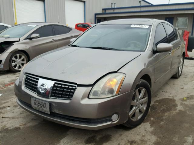 1N4BA41E74C817709 - 2004 NISSAN MAXIMA SE GOLD photo 2