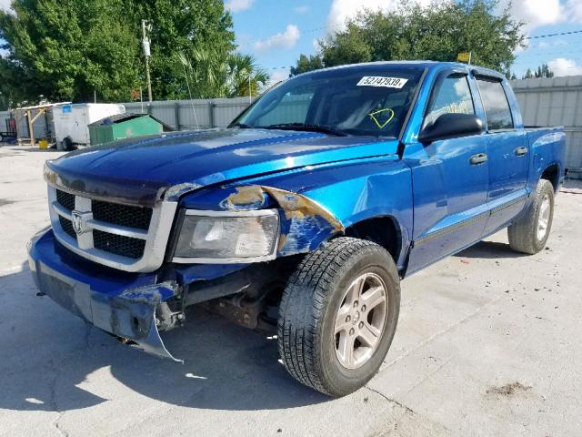 1D7RW3GK1BS691938 - 2011 DODGE DAKOTA SLT BLUE photo 2