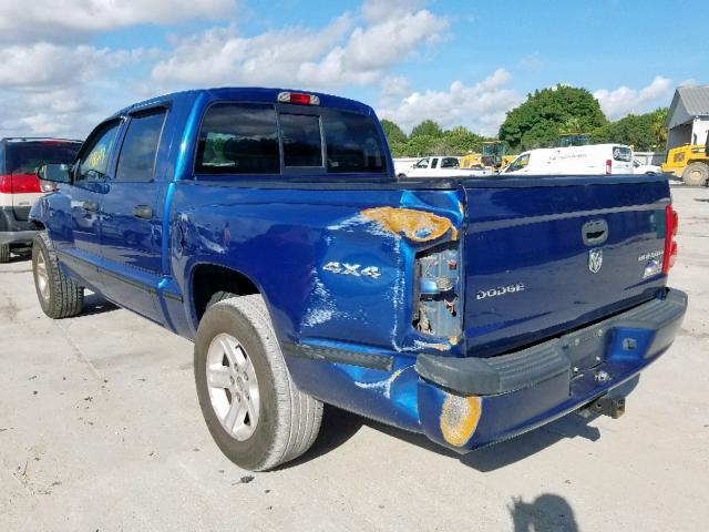 1D7RW3GK1BS691938 - 2011 DODGE DAKOTA SLT BLUE photo 3