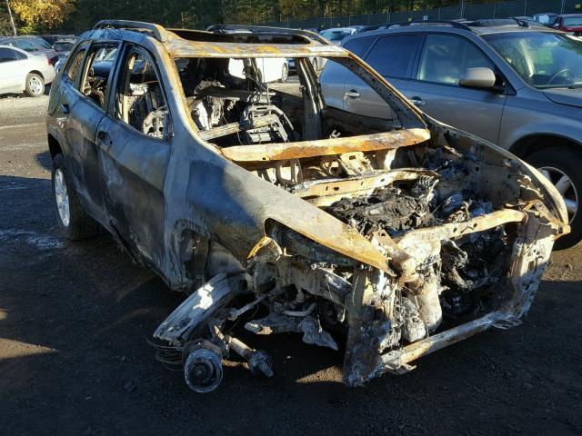 1C4PJMCB3EW124610 - 2014 JEEP CHEROKEE L BURN photo 1