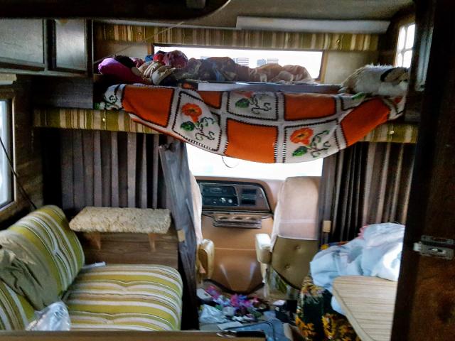 NE1110853 - 1979 FORD MOTORHOME TAN photo 6