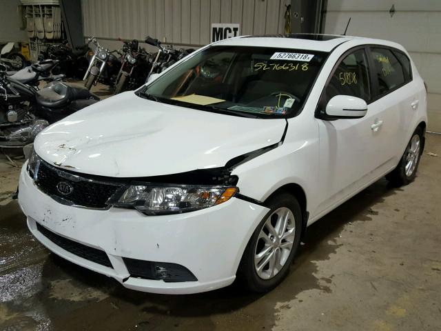 KNAFU5A20C5625014 - 2012 KIA FORTE EX WHITE photo 2