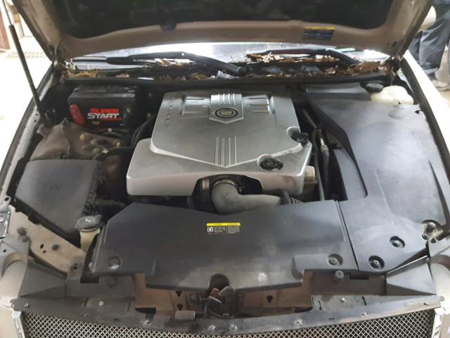 1G6DW677250166293 - 2005 CADILLAC STS GOLD photo 7