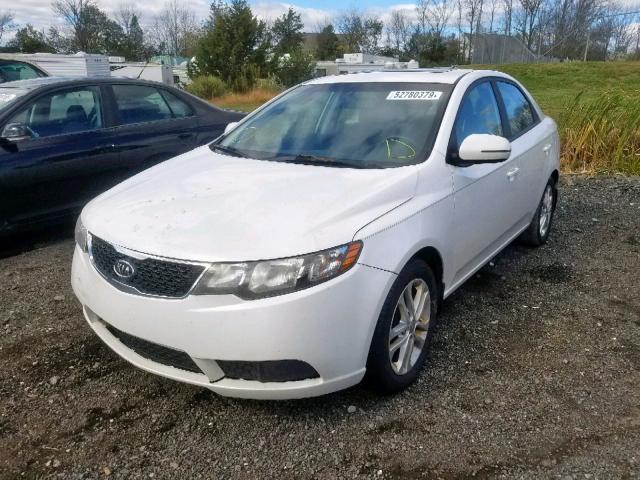 KNAFU4A27C5554033 - 2012 KIA FORTE EX WHITE photo 2