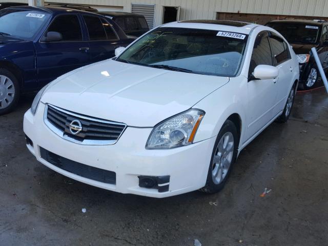 1N4BA41E38C811637 - 2008 NISSAN MAXIMA SE WHITE photo 2