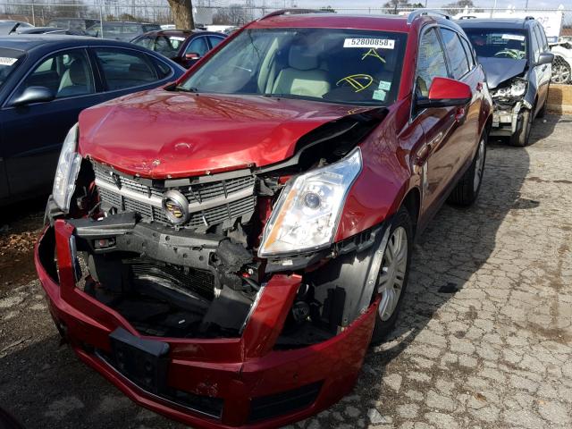 3GYFNAEY1AS506926 - 2010 CADILLAC SRX LUXURY RED photo 2