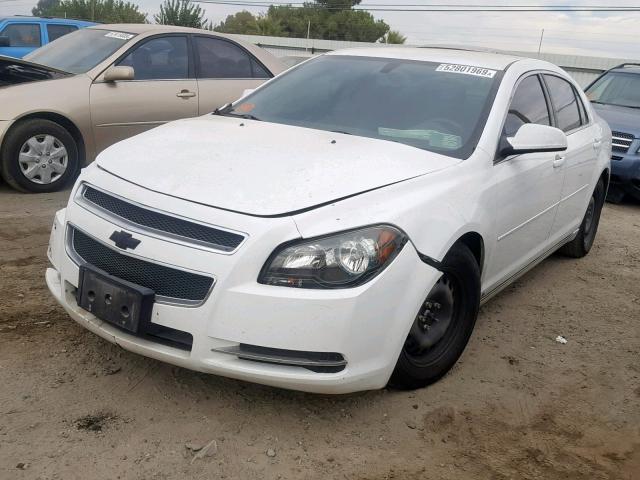 1G1ZH57B99F246097 - 2009 CHEVROLET MALIBU 1LT 白色 照片 2