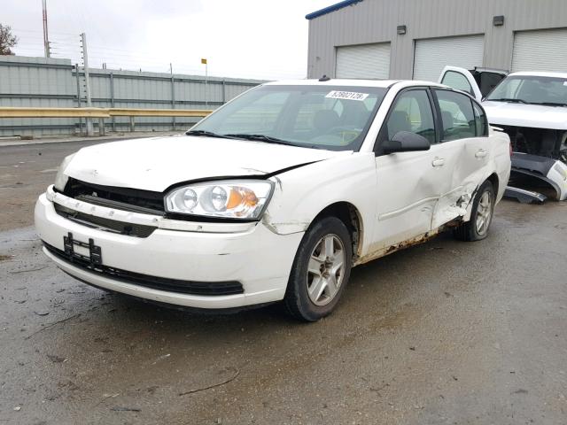 1G1ZT54875F106793 - 2005 CHEVROLET MALIBU LS 白色 照片 2