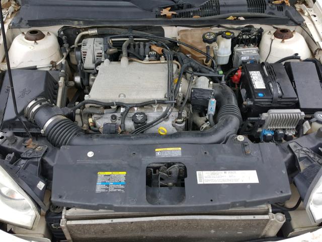 1G1ZT54875F106793 - 2005 CHEVROLET MALIBU LS 白色 照片 7