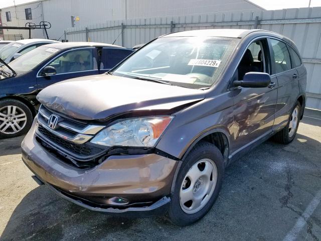 5J6RE3H33AL036770 - 2010 HONDA CR-V LX BROWN photo 2