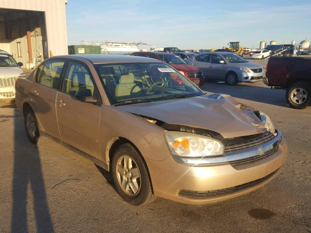 1G1ZT54865F110866 - 2005 CHEVROLET MALIBU LS 金色 照片 1